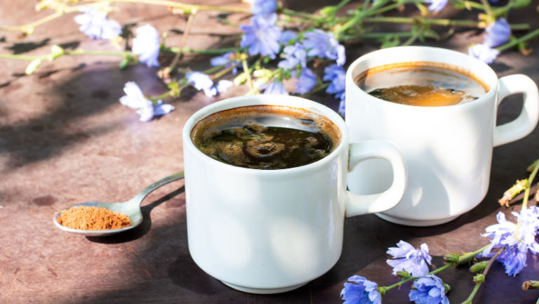 Zayıflamak İçin Hangi Kahve Daha Etkili? Hindiba Kahvesi mi?